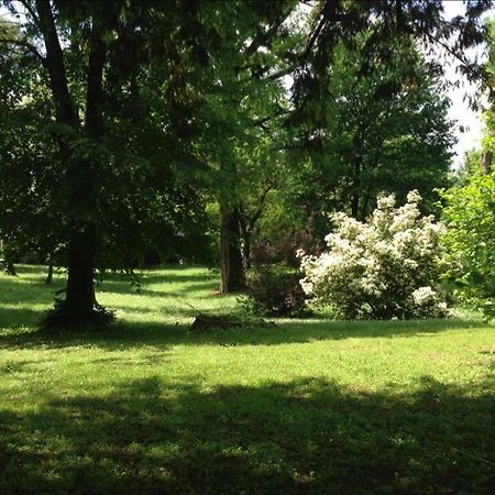 La Stanza nel Bosco Bed and Breakfast Pavia Esterno foto