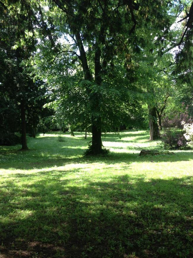 La Stanza nel Bosco Bed and Breakfast Pavia Esterno foto